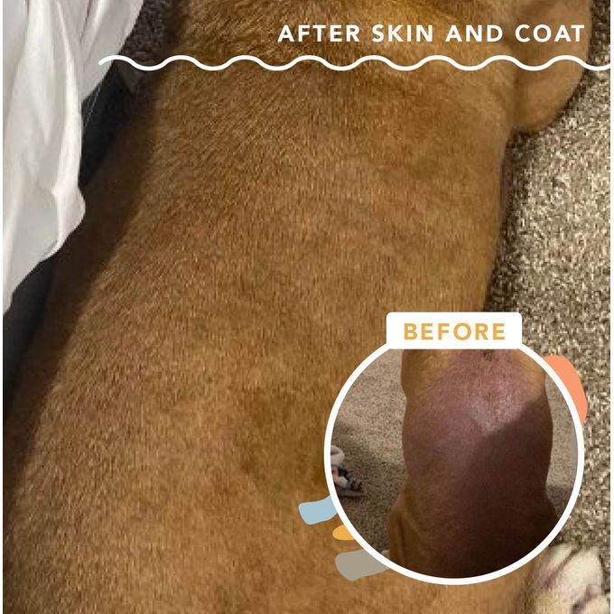 Natural Dog Company Skin & Coat Supplement, , large