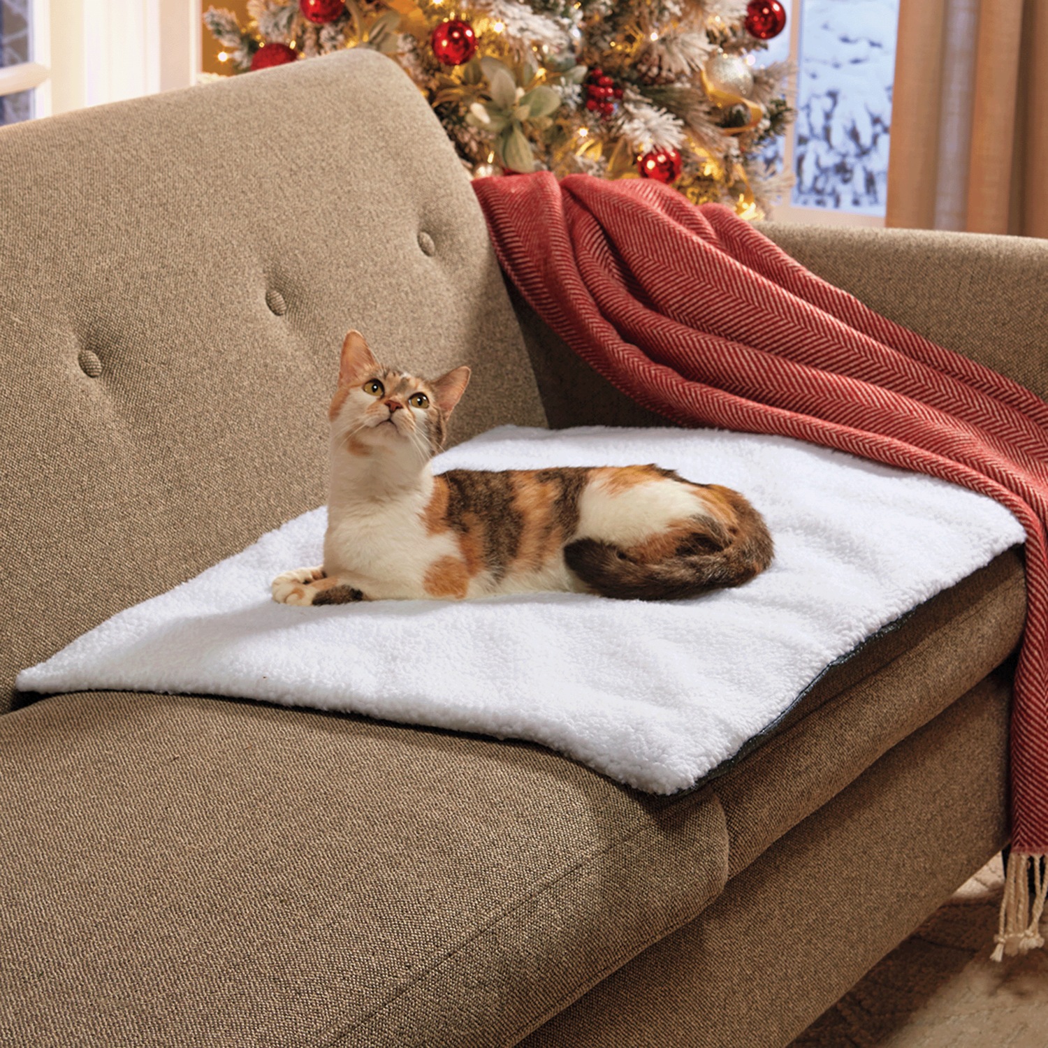 SelfHeating Pet Pad Montgomery Ward