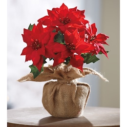 Faux Poinsettia in Burlap-Wrapped Pot, , large