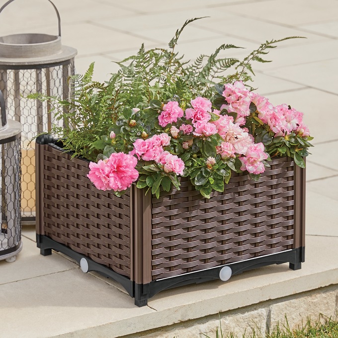 Dayer Raised Planter, , large