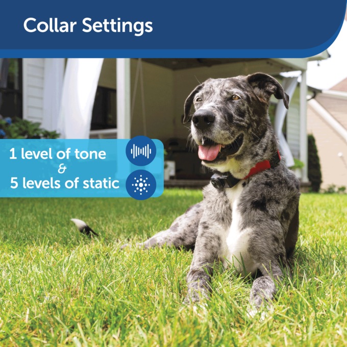 Petsafe wireless invisible fence shop