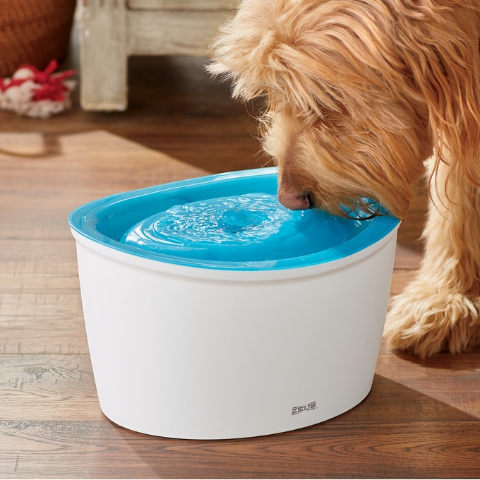 Dogit Fresh Clear Fountain Montgomery Ward