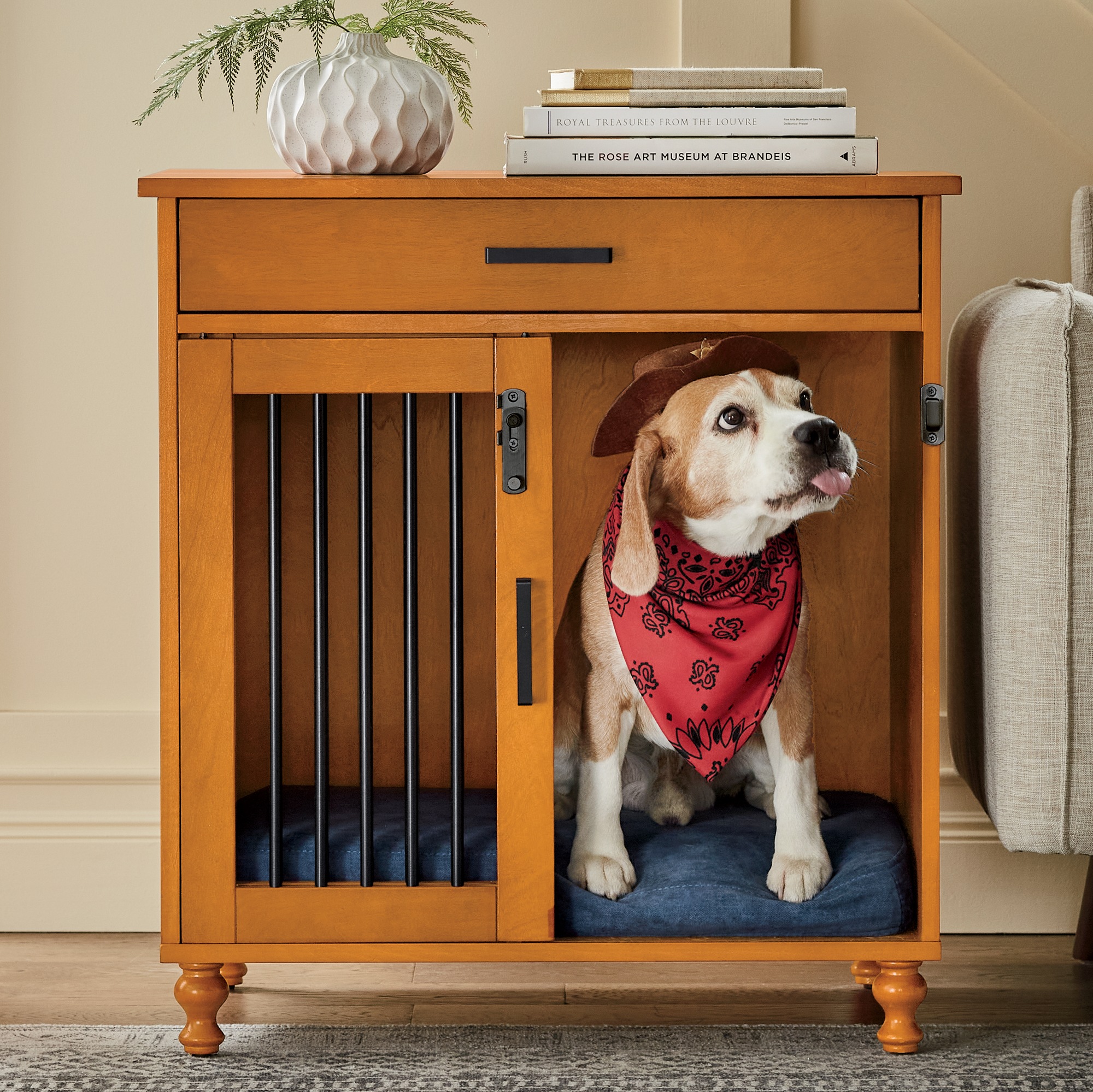 dog box with storage