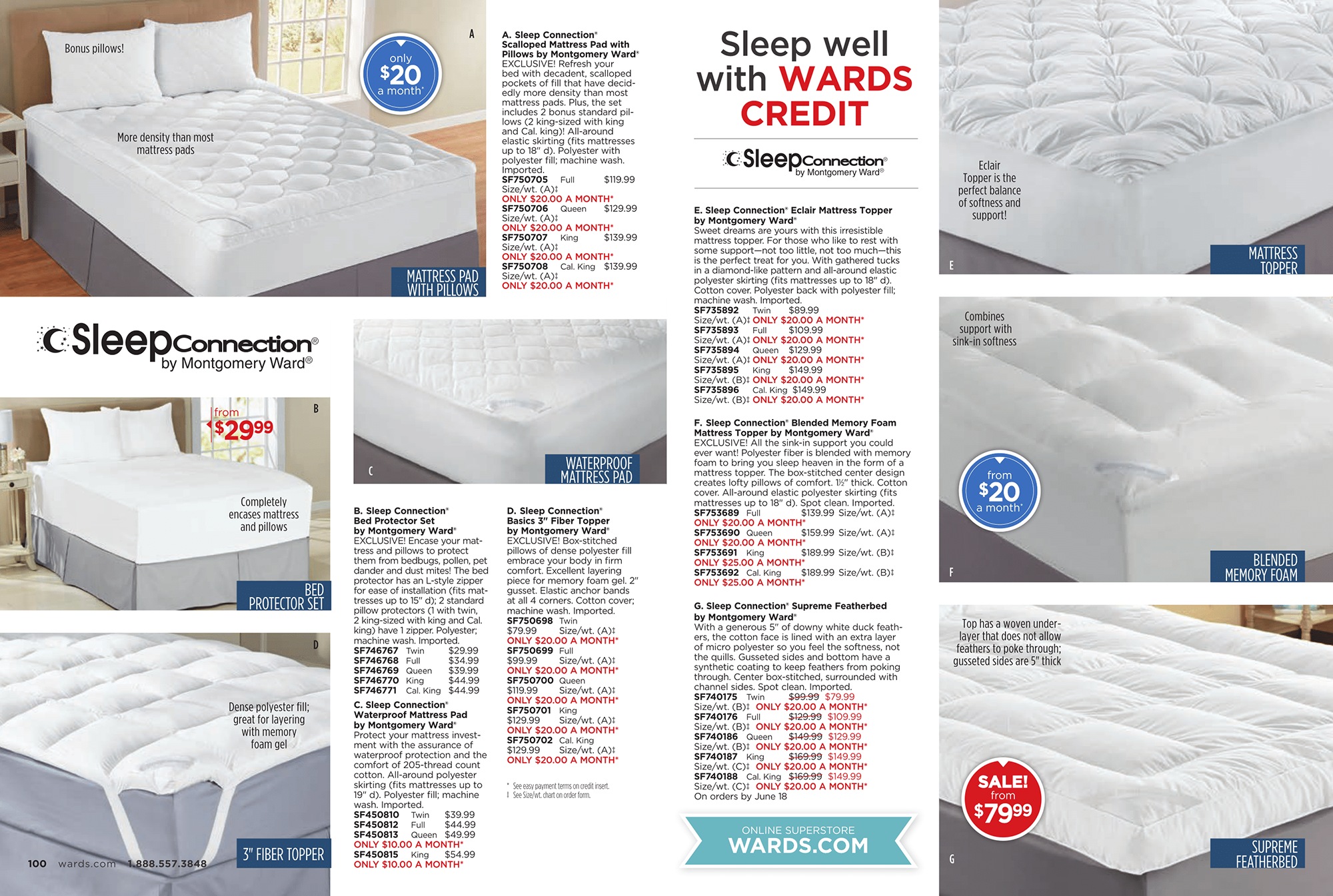 Late Summer 2018 Montgomery Ward Late Summer 2018