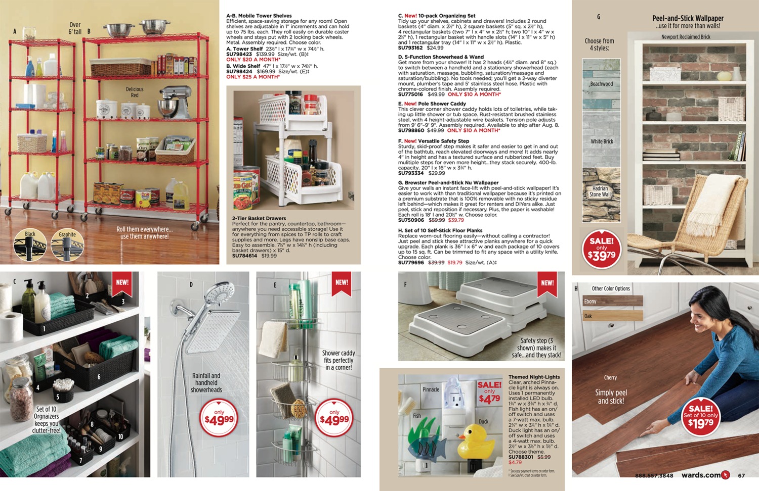 Pages 66 and 67 of 186