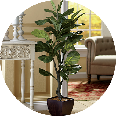 Home - Decor, Rugs, Lighting, Outdoor & More | Montgomery Ward