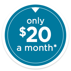 Only $20 a month